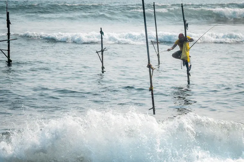 stilt fisherman in ahangama
